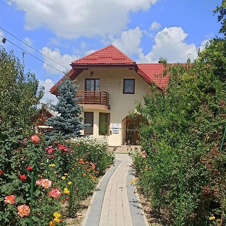 Agropensiunea Florina-Maria Branistea  ภายนอก รูปภาพ