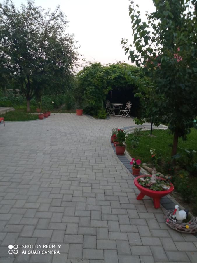 Agropensiunea Florina-Maria Branistea  ภายนอก รูปภาพ