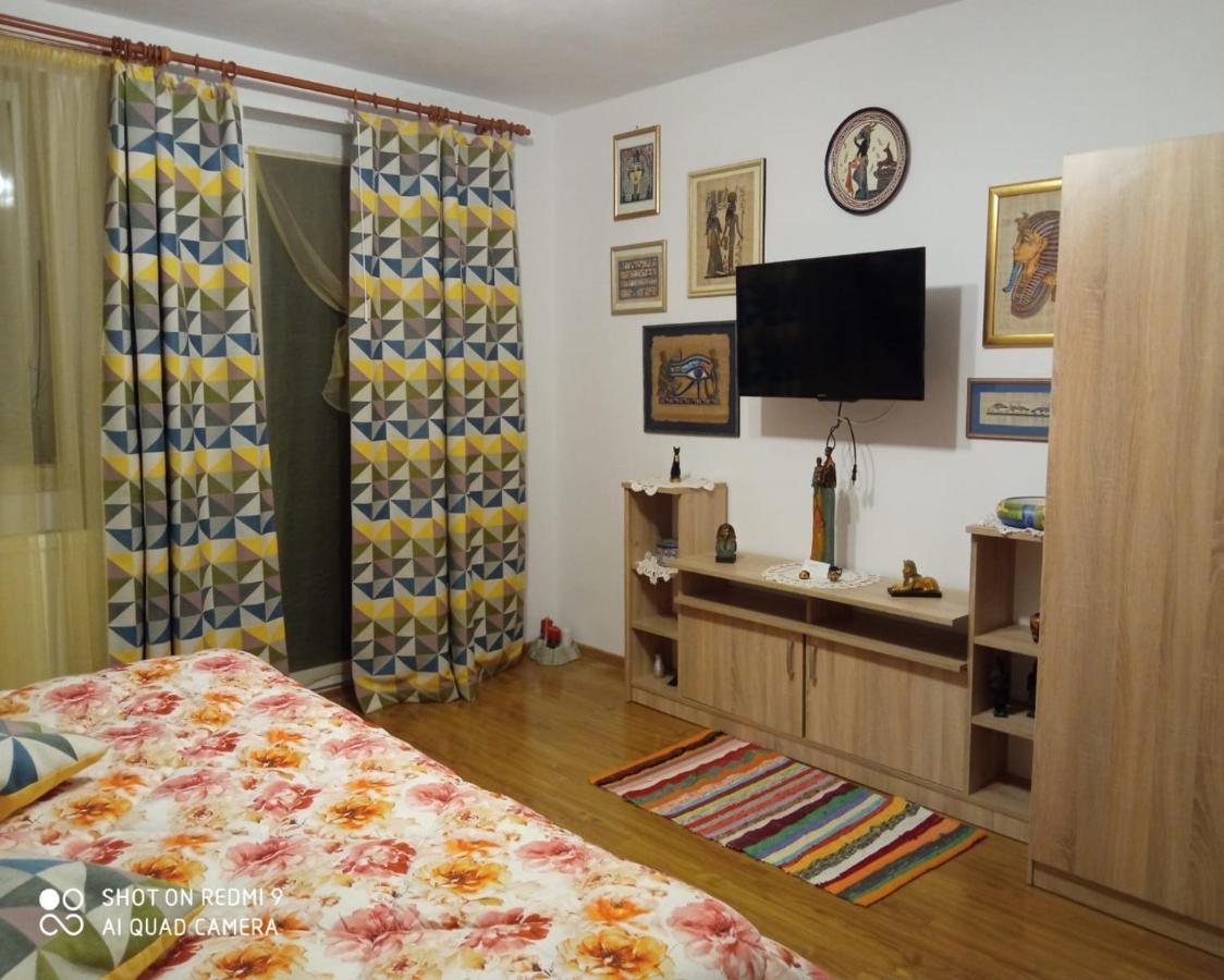 Agropensiunea Florina-Maria Branistea  ภายนอก รูปภาพ