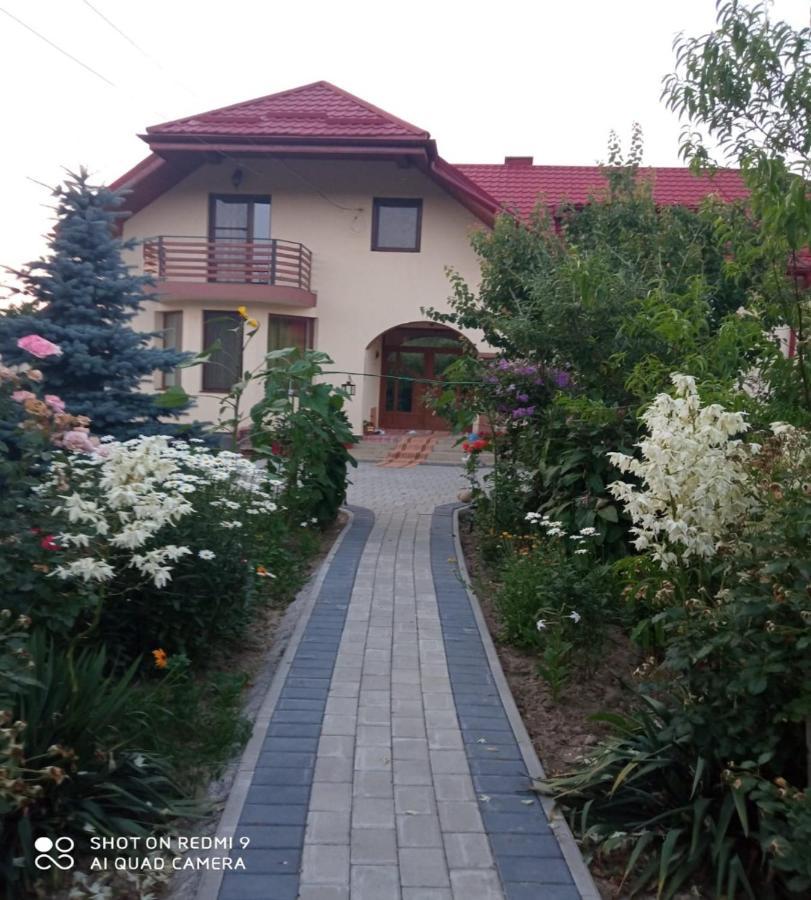Agropensiunea Florina-Maria Branistea  ภายนอก รูปภาพ