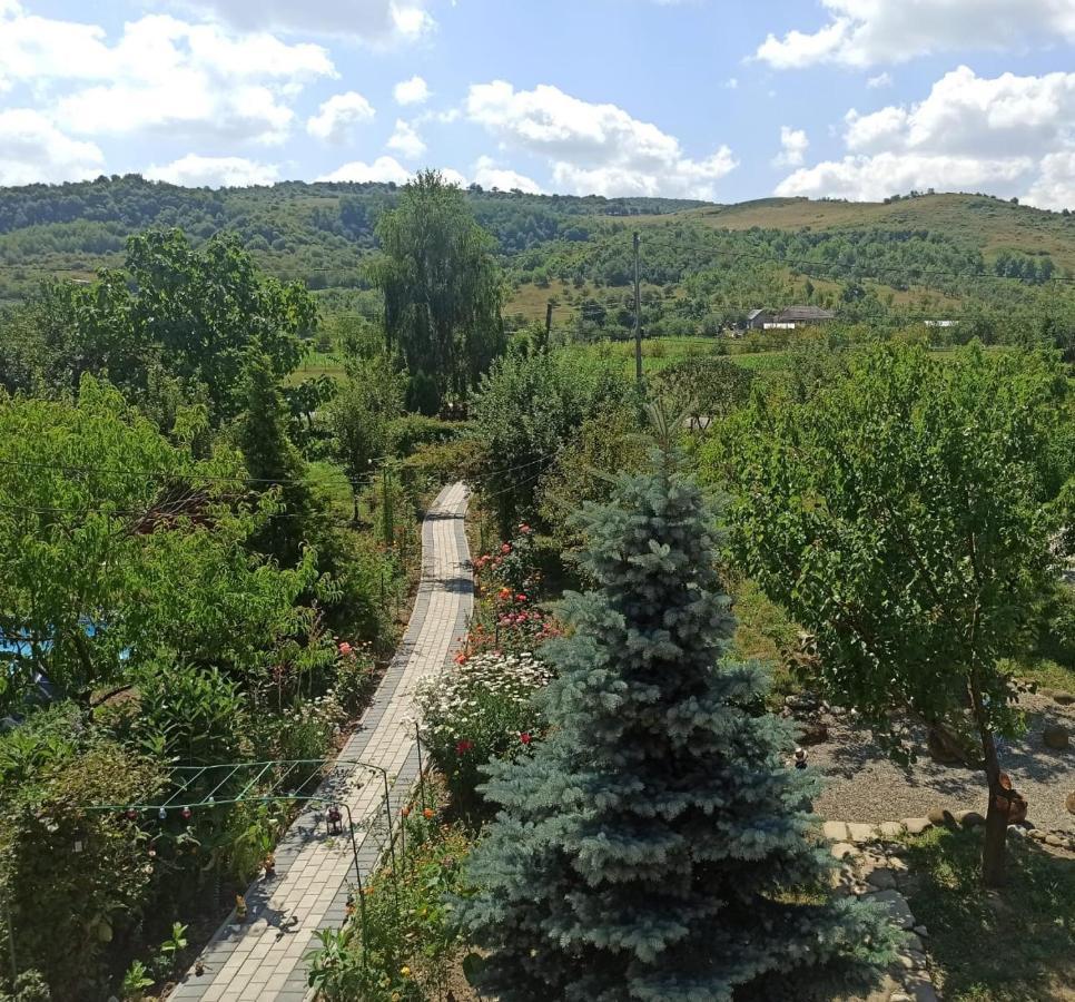 Agropensiunea Florina-Maria Branistea  ภายนอก รูปภาพ
