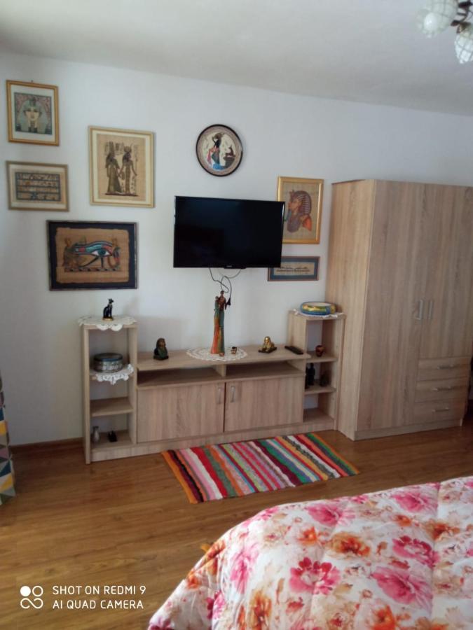 Agropensiunea Florina-Maria Branistea  ภายนอก รูปภาพ