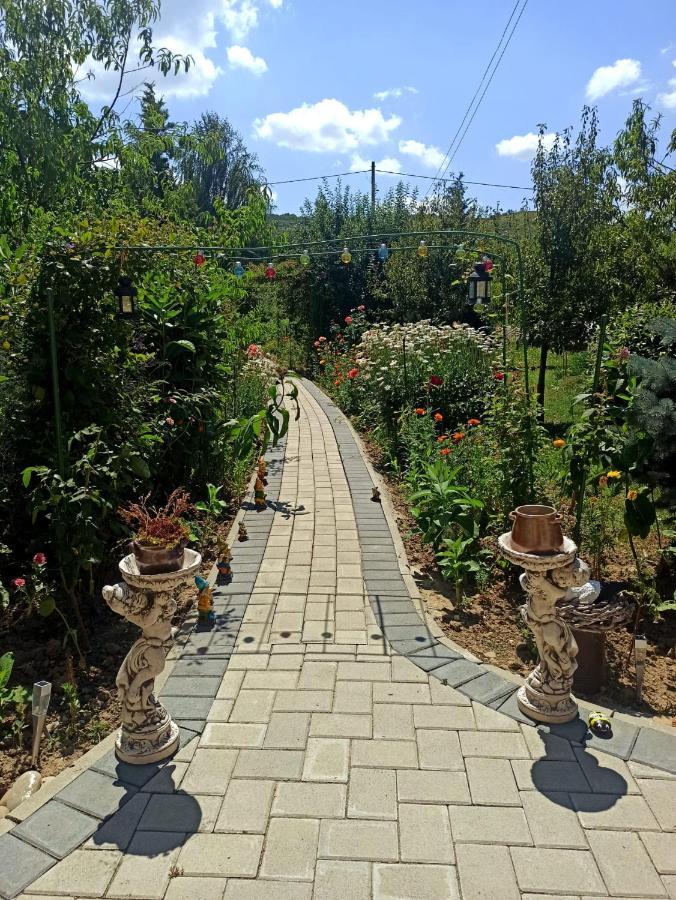 Agropensiunea Florina-Maria Branistea  ภายนอก รูปภาพ